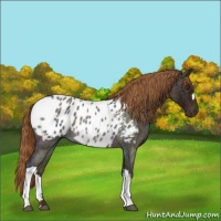 Horse Color:Midnight Red Ice Roan Blanket Rabicano 