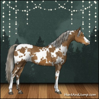 Horse Color:White Spotted Chocolate Palomino 