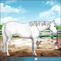 Horse Color:Silver Brown Dun Varnish
