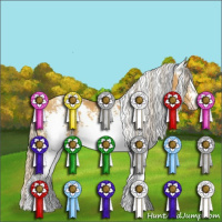 Horse Color:White Spotted Gold Cream Champagne