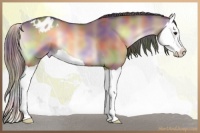 Horse Color:Nacre Liver Red Dun Onyx Splash Varnish 