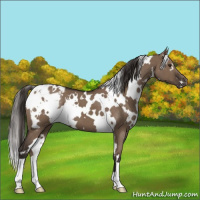 Horse Color:White Spotted Liver Red Dun Blanket 
