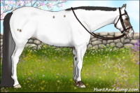 Horse Color:Liver Red Dun Near Fewspot Brindle 