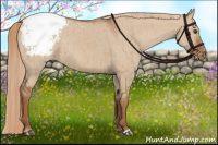 Horse Color:Red Dun Snowcap Brindle