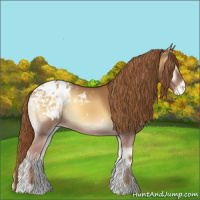 Horse Color:White Spotted Red Onyx Blanket 