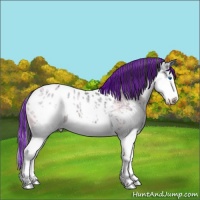 Horse Color:Painted Black Ice Splash Appaloosa