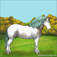 Horse Color:Painted Bay Ice Splash Tobiano Rabicano