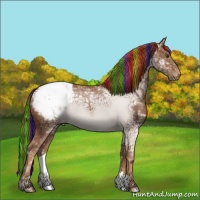 Horse Color:Painted Chestnut Ice Appaloosa 