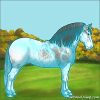 Horse Color:Thunderstruck Bay Ice Sabino Splash Snowcap