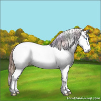 Horse Color:Nacre Chestnut Ice Splash Tobiano Appaloosa