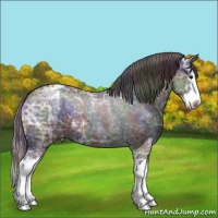 Horse Color:Nacre Black Ice Sabino Splash Appaloosa 