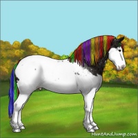 Horse Color:Painted Smoky Black Ice Sabino Splash Appaloosa