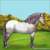 Horse Color:Painted Brown Ice Dun Appaloosa 