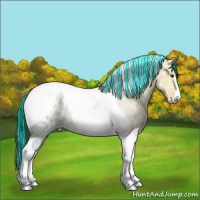 Horse Color:Painted Bay Ice Dun Tobiano Appaloosa