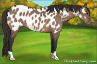 Horse Color:Brown Dun Near Leopard Brindle 