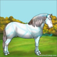 Horse Color:Nacre Thunderstruck Chestnut Splash Appaloosa