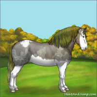 Horse Color:Painted Liver Chestnut Ice Splash Appaloosa