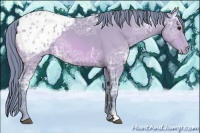 Horse Color:Watercolor Bay Ice Appaloosa 