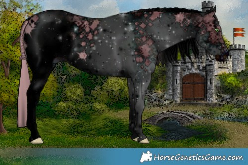 Horse Color:ERROR: UNKNOWN ANOMALY