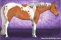 Horse Color:Silver Bay Tobiano 