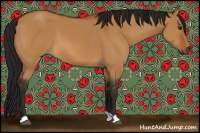 Horse Color:Gray Bay Dun