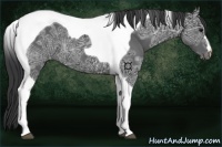 Horse Color:Black Ice Tobiano