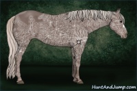 Horse Color:Silver Black Ice