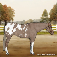 Horse Color:Liver Red Dun Mushroom Blanket Brindle 