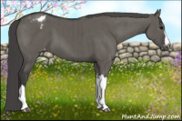 Horse Color:Grullo Varnish Brindle 