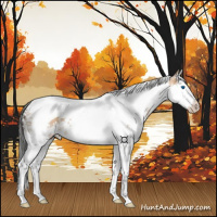 Horse Color:Bay Dun Splash Tobiano