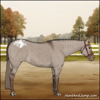Horse Color:Liver Red Dun Mushroom Varnish Brindle 