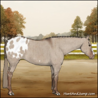 Horse Color:Liver Red Dun Mushroom Blanket Brindle 