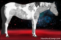 Horse Color:Black Ice Tobiano
