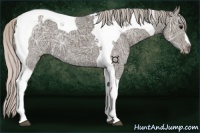 Horse Color:Silver Black Ice Tobiano 