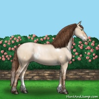 Horse Color:White Spotted Bay Pearl Dun Brindle 