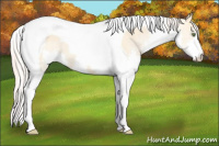 Horse Color:Silver Amber Champagne Dun Splash Tobiano 