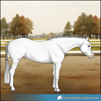 Horse Color:Liver Red Dun Mushroom Appaloosa Brindle