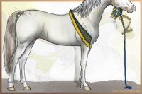 Horse Color:White Spotted Liver Red Dun Onyx Splash 