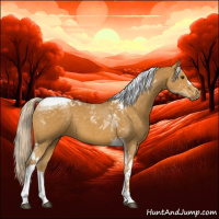 Horse Color:Palomino Tobiano 
