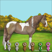 Horse Color:Liver Red Dun Splash Tobiano 