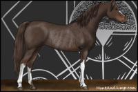 Horse Color:Liver Chestnut Rabicano 