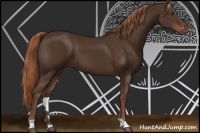 Horse Color:Liver Chestnut 