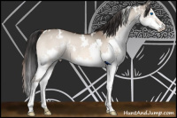Horse Color:White Spotted Bay Dun Splash 
