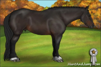 Horse Color:Gray Brown 