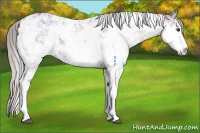 Horse Color:Silver Brown Ice Dun Sabino Brindle 