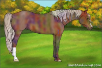 Horse Color:Nacre Silver Brown