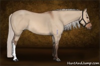 Horse Color:Silver Bay Dun