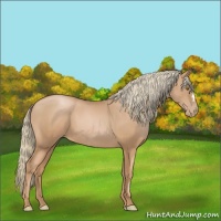 Horse Color:Chestnut Pearl 