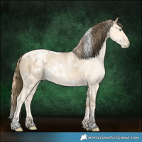 Horse Color:White Spotted Buckskin Roan Pearl  and Buckskin Roan Pearl Rabicano 
