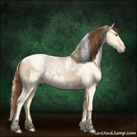 Horse Color:White Spotted Buckskin Roan Pearl  and Buckskin Roan Pearl Rabicano 